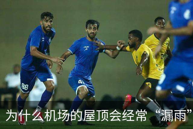 为什么机场的屋顶会经常“漏雨”？用“苔藓”来接漏水也不过是“缓解下旅客心情”而已！