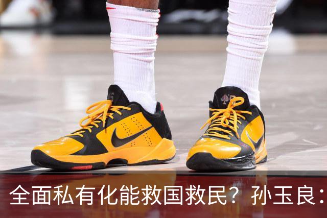 全面私有化能救国救民？孙玉良：资本主义只能把中国带入万丈深渊