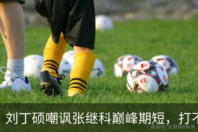 刘丁硕嘲讽张继科巅峰期短，打不过别人就退役，邓亚萍曾反问：刘丁硕是谁 没听说过