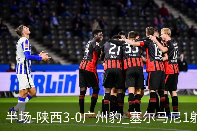 半场-陕西3-0广州豹 塞尔马尼1射2传+世界波 钟文伊兰杜斯特建功