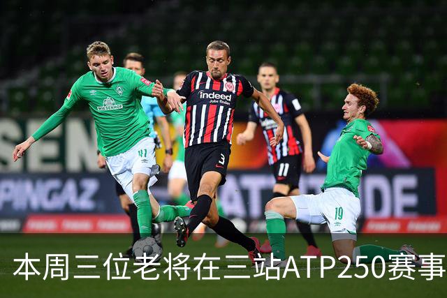 本周三位老将在三站ATP250赛事走完网球征途