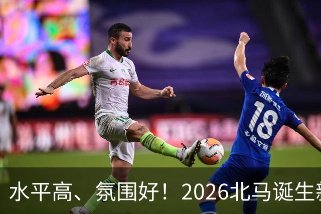 水平高、氛围好！2026北马诞生新纪录，赛事组织获选手认可