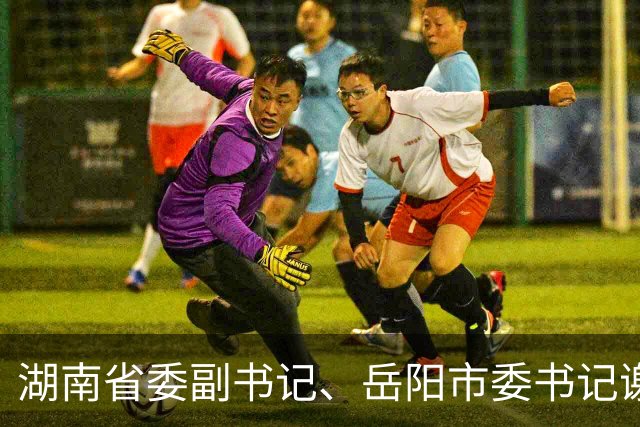 湖南省委副书记、岳阳市委书记谢卫江任湖南省政府党组书记