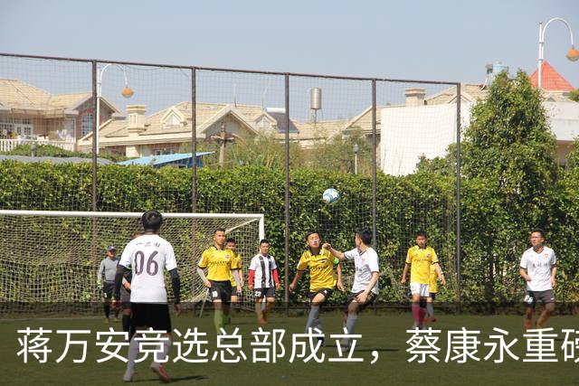 蒋万安竞选总部成立，蔡康永重磅发声，郑丽文韩国瑜黄国昌表态