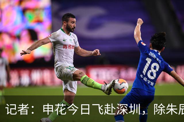 记者：申花今日飞赴深圳，除朱辰杰盖伊等伤员外几乎全员出征